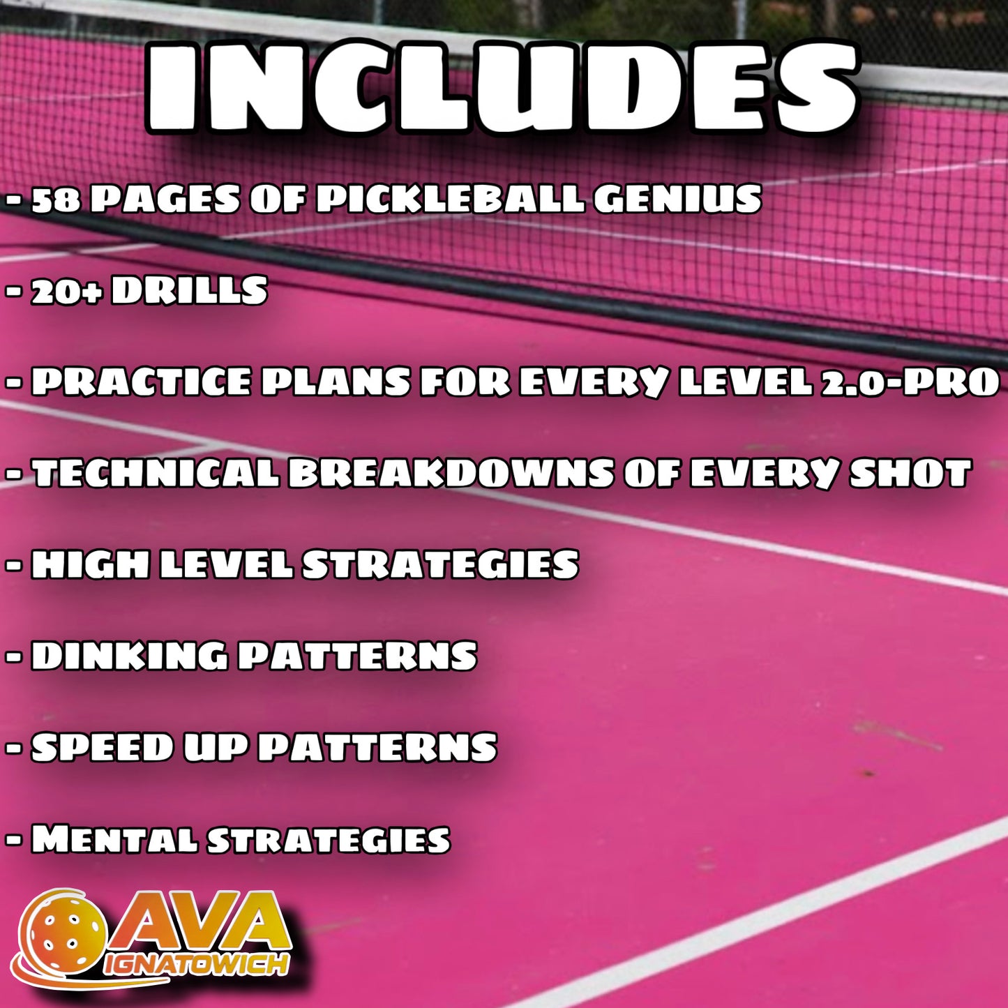 The Complete Pickleball System: Roadmap from Beginner to Pro